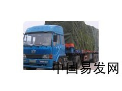 现代物流(苏州)