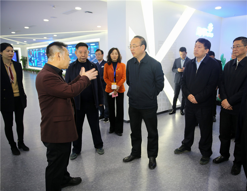 张祥安到迎江区调研经济社会发展情况